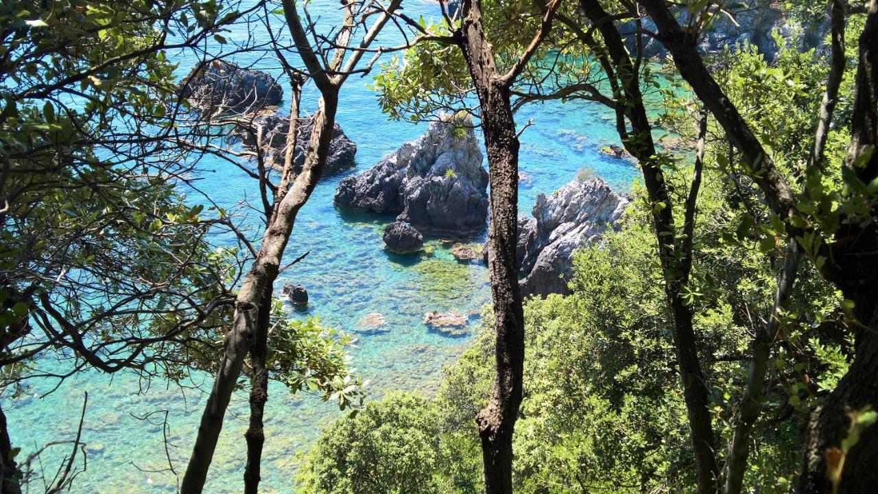 Hotel Cala Del Citro Maratea Exteriör bild